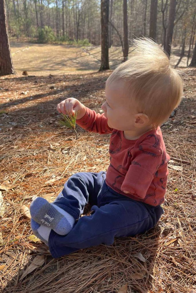 A toddler sits on the forest floor looking at pine needles